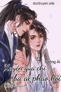 Xuyên Qua Chi Bá Ái Pháo Hôi