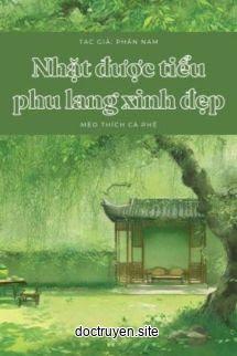 Nhặt Được Tiểu Phu Lang Xinh Đẹp