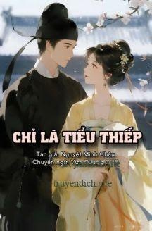 Chỉ Là Tiểu Thiếp - Nguyệt Minh Châu