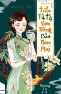 Xuyên Thành Tiểu Tỷ Tỷ Vạn Năng Của Nam Phụ